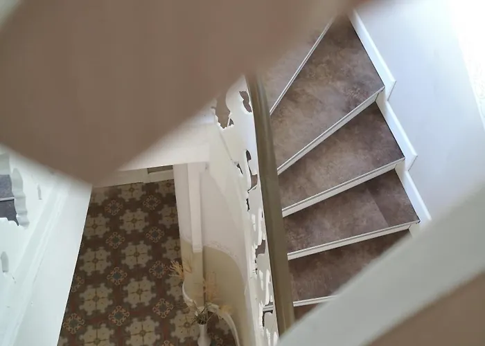 Neef 메르제부르크