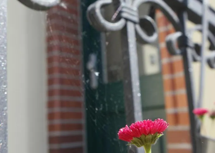 아파트 Neef 메르제부르크